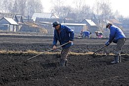 Осень — самое подходящее время для подготовки грядок к новому сезону Осень — самое подходящее время для подготовки грядок к новому сезону