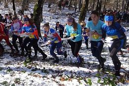Пензячки стали победительницами Чемпионата и Первенства России по спортивному ориентированию Пензячки стали победительницами Чемпионата и Первенства России по спортивному ориентированию