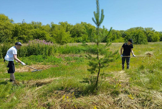 Озвучено, из чего складывается зарплата пензенских подростков