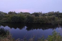 В Сердобском районе в пруду утонул автомобиль с водителем В Сердобском районе в пруду утонул автомобиль с водителем