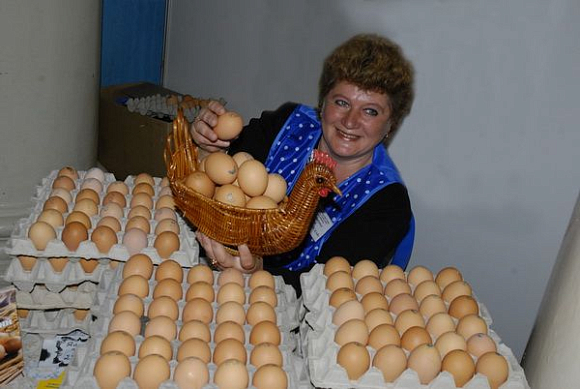 На семейной ферме в Никольском районе производят экологически чистое яйцо