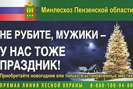 В Пензенской области за незаконную вырубку елей оштрафуют на 3 тыс. руб. В Пензенской области за незаконную вырубку елей оштрафуют на 3 тыс. руб.