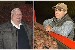Пензенские с/х-производители планируют собрать более 182 тыс. тонн картофеля и овощей
