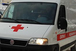 В Башмаковском районе при пожаре пострадала 53-летняя сельчанка