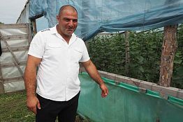 Бывший строитель создал под Пензой огуречное царство