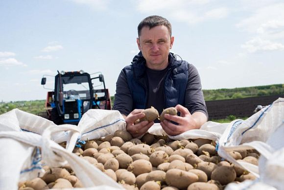 Как фермер из Мокшана выращивает высокоурожайный картофель