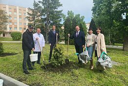 В рамках Зелёного Марафона Сбера в Пензе появилась новая аллея деревьев