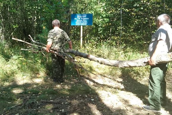 В пензенском дендрарии высадили 900 экзотических деревьев