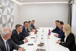 Власти обсудили перспективы сотрудничества Пензенской и Брестской областей Власти обсудили перспективы сотрудничества Пензенской и Брестской областей