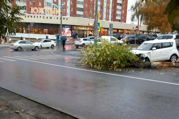 В Пензе автоледи «сбила» дерево у пешеходного перехода