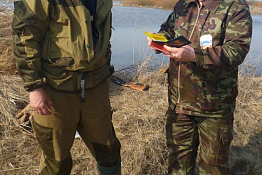 В Пензенской области незаконно охотились на барсука и зайцев В Пензенской области незаконно охотились на барсука и зайцев