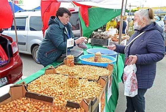 В Пензе 1 мая будет вновь работать фестиваль «АгроFest»