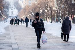 В Пензе 16 февраля днем потеплеет до 0 ºС