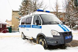 Лесная добыча может лишить пензенца свободы на 10 лет