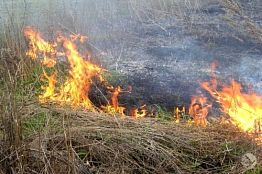 В пензенском мкр. Заря ведут подготовку к пожароопасному периоду