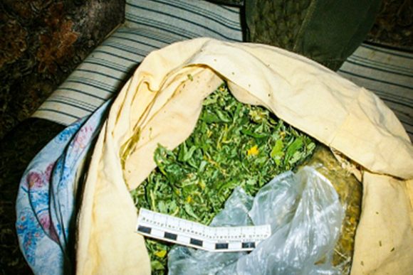 У 58-летнего пачелмца изъяли 369 граммов марихуаны