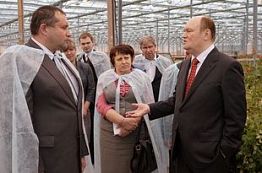 Пензенская область может стать крупнейшим производителем роз в России