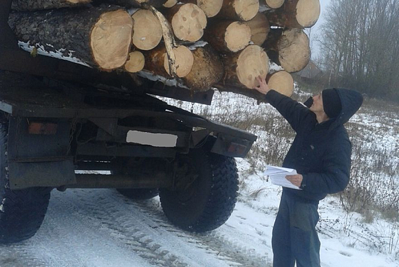 В Пензенской области подвели итоги операции «Лесовоз»