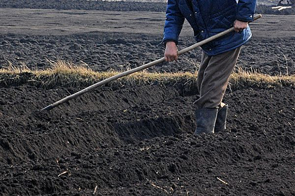 В Пензе срок открытия дачного сезона обговорят с СНТ