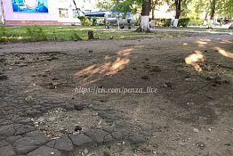 Пензенцы в соцсети жалуются на тротуар по ул. Коммунистической Пензенцы в соцсети жалуются на тротуар по ул. Коммунистической