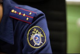 Бастрыкин поручил возбудить дело из‑за разбитой дороги в Бессоновском районе