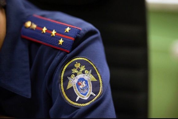 Бастрыкин поручил возбудить дело из‑за разбитой дороги в Бессоновском районе