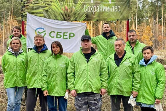 Благодаря волонтёрам и активистам в Городищенском районе площадь леса увеличилась на один гектар 
