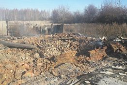 В Пензенской области на пепелище нашли женские останки В Пензенской области на пепелище нашли женские останки
