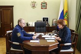 Лариса Рябихина отчиталась перед губернатором о своей работе