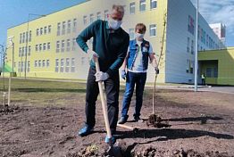 Иван Белозерцев посадил яблони у новой школы 