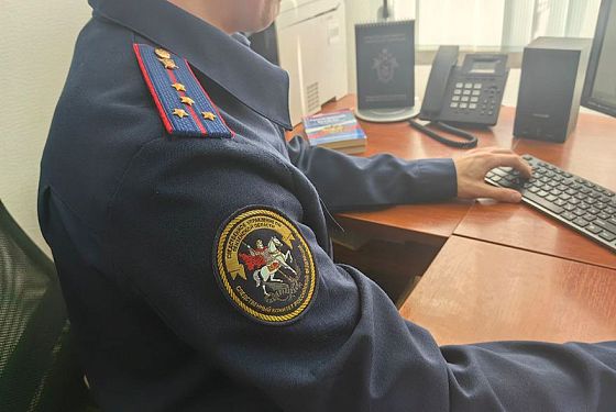 В Пензенской области завершили расследование смерти девочки в поезде