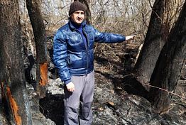 Экологи рассказали о «катастрофе» после пожарищ в Заре