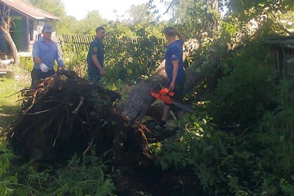 В Наровчатском районе устраняют последствия урагана