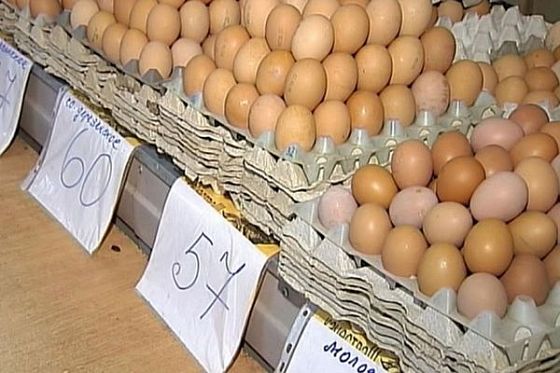 В Пензенской области обсудят ситуацию с ценами на яйца кур