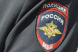 Полиция раскрыла серию краж из авто в Пензе
