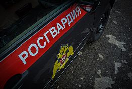 В Пензе росгвардейцы задержали закладчика наркотиков В Пензе росгвардейцы задержали закладчика наркотиков
