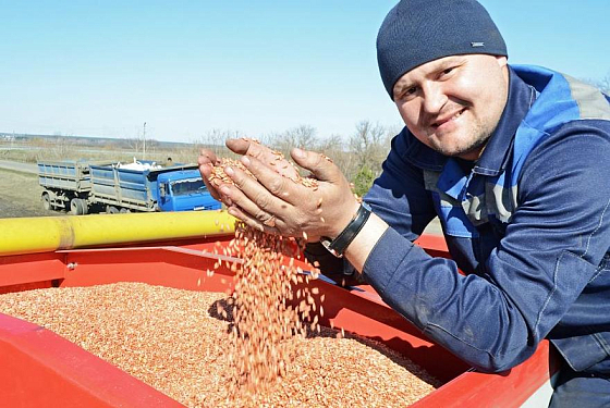 Как санкции повлияют на посевную в Пензенской области