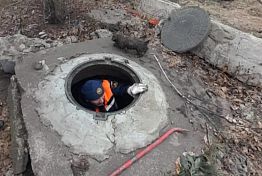 Пензенские спасатели вытащили из колодца упавших щенков
