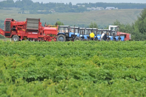 Пензенский минсельхоз перечислил аграриям почти 230 млн. рублей