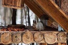 10 идей, куда сходить с ребенком на весенних каникулах в Пензе 2026: самые интересные события