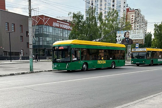В Пензе остановлен общественный транспорт