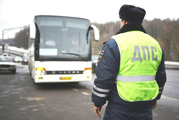 В Пензенской области за неделю в ДТП погибли две лосихи