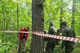 Пропавший в Пензенской области 17-летний подросток найден живым 