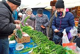 Новогодняя ярмарка в Пензе поразила ассортиментом Новогодняя ярмарка в Пензе поразила ассортиментом