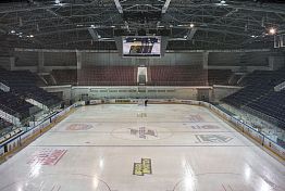 Перед финальной домашней игрой пензенского «Дизеля» умер болельщик