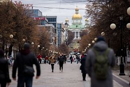 За сутки в Пензе выявили 248 носителей ковида 