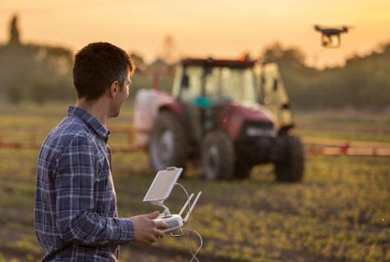 Фермерам Пензы стала доступна первая цифровая экосистема