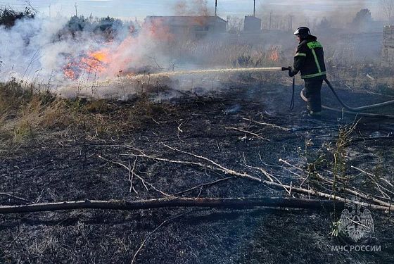 В Пензенской области обсудили угрозу лесных пожаров