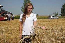 Студентка ПГСХА В. Расстрогина помогает землякам убирать урожай Студентка ПГСХА В. Расстрогина помогает землякам убирать урожай
