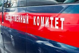 СК проводит проверку по факту гибели жителя Чемодановки